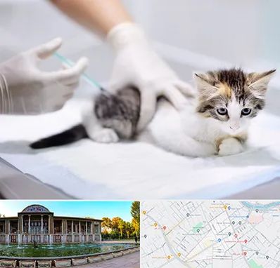 واکسیناسیون حیوانات در عفیف آباد شیراز