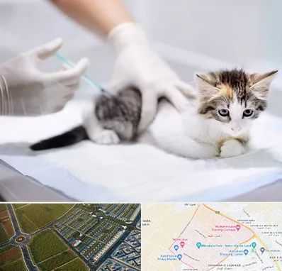 واکسیناسیون حیوانات در الهیه مشهد