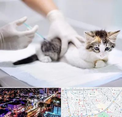 واکسیناسیون حیوانات در منظریه رشت