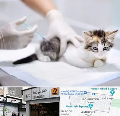 واکسیناسیون حیوانات در منیریه 