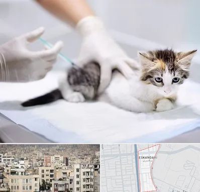 واکسیناسیون حیوانات در اسکندری