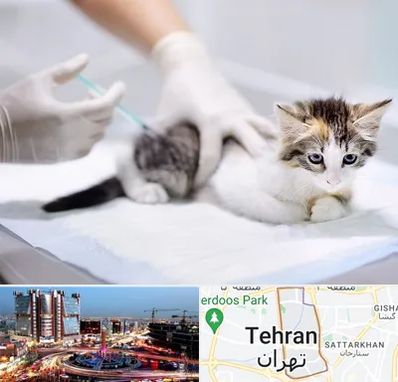 واکسیناسیون حیوانات در صادقیه 