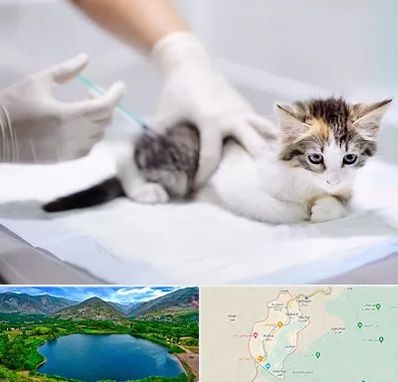 واکسیناسیون حیوانات در رودبار