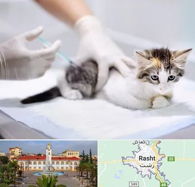واکسیناسیون حیوانات در رشت