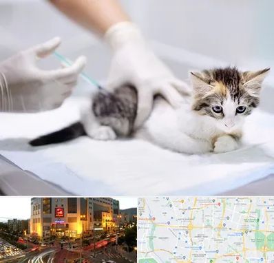 واکسیناسیون حیوانات در جنت آباد تهران 