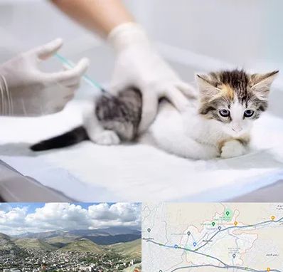 واکسیناسیون حیوانات در رودهن