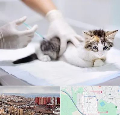 واکسیناسیون حیوانات در سهند تبریز