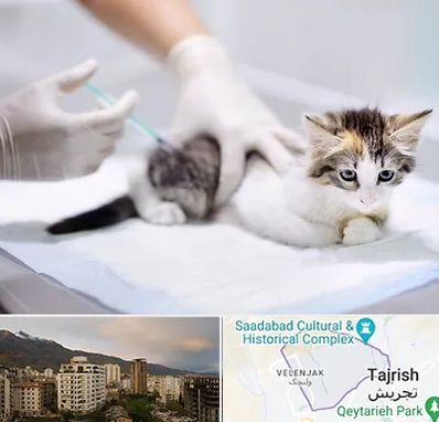 واکسیناسیون حیوانات در زعفرانیه 