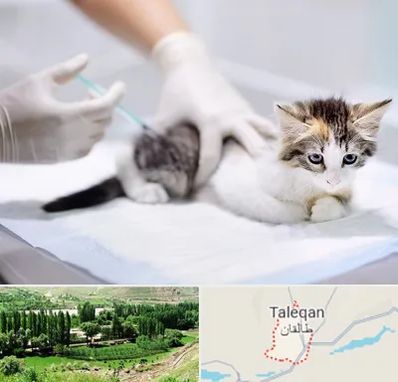واکسیناسیون حیوانات در طالقان