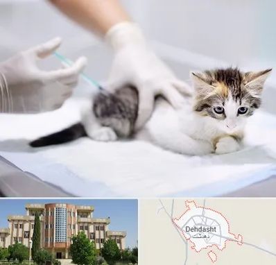 واکسیناسیون حیوانات در دهدشت