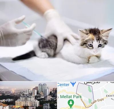 واکسیناسیون حیوانات در الهیه 