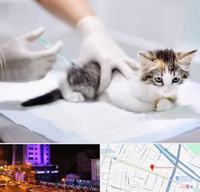 واکسیناسیون حیوانات در آبرسان تبریز