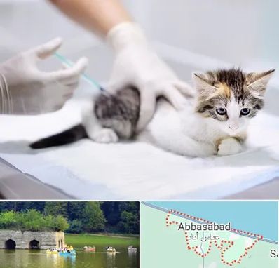 واکسیناسیون حیوانات در عباس آباد