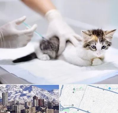 واکسیناسیون حیوانات در ازگل