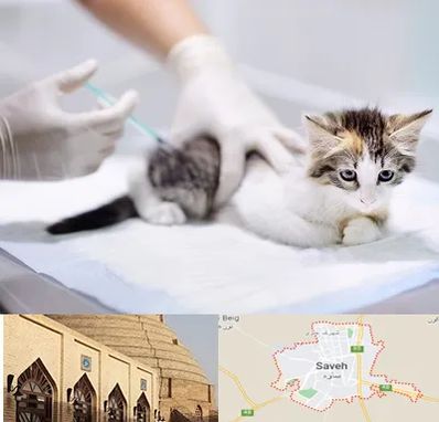 واکسیناسیون حیوانات در ساوه