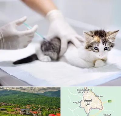 واکسیناسیون حیوانات در آمل