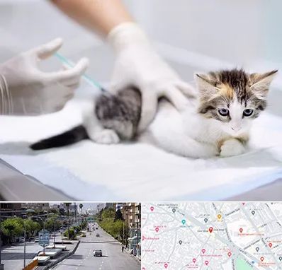 واکسیناسیون حیوانات در خیابان زند شیراز