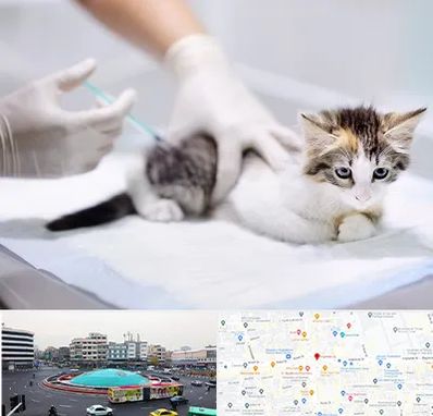 واکسیناسیون حیوانات در میدان انقلاب 