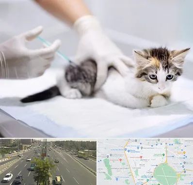 واکسیناسیون حیوانات در منطقه 17 تهران 