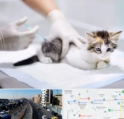 واکسیناسیون حیوانات در پیروزی 