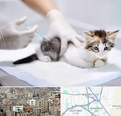 واکسیناسیون حیوانات در جنوب شرق تهران