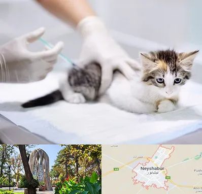 واکسیناسیون حیوانات در نیشابور