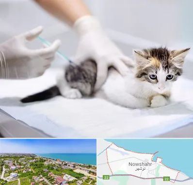واکسیناسیون حیوانات در نوشهر