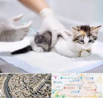 واکسیناسیون حیوانات در شهرک غرب مشهد