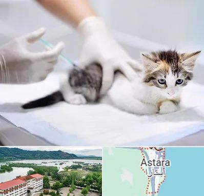 واکسیناسیون حیوانات در آستارا