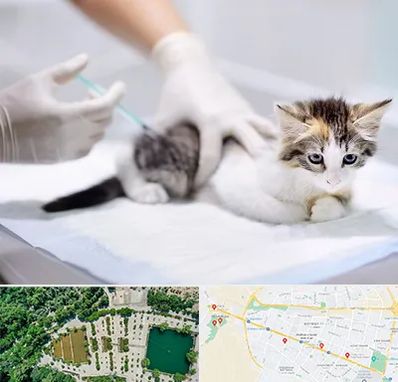 واکسیناسیون حیوانات در وکیل آباد مشهد