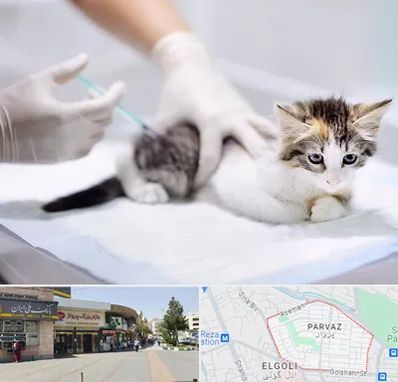 واکسیناسیون حیوانات در پرواز تبریز