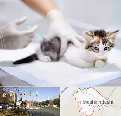 واکسیناسیون حیوانات در مشکین دشت