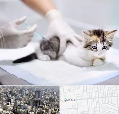 واکسیناسیون حیوانات در جیحون