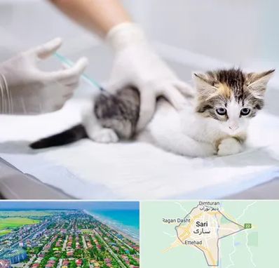 واکسیناسیون حیوانات در ساری