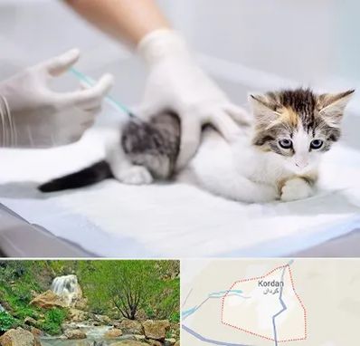 واکسیناسیون حیوانات در کردان