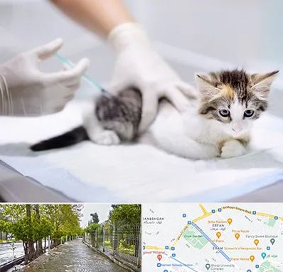 واکسیناسیون حیوانات در خیابان ارم شیراز