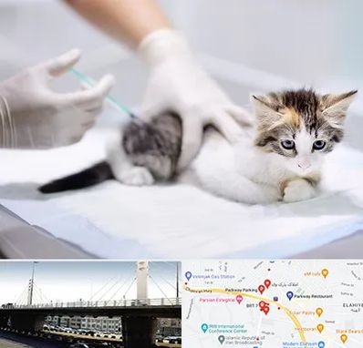 واکسیناسیون حیوانات در پارک وی 