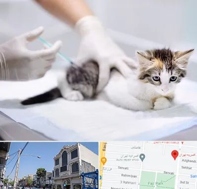 واکسیناسیون حیوانات در افسریه 