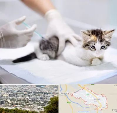 واکسیناسیون حیوانات در یاسوج