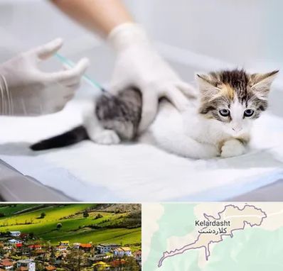 واکسیناسیون حیوانات در کلاردشت