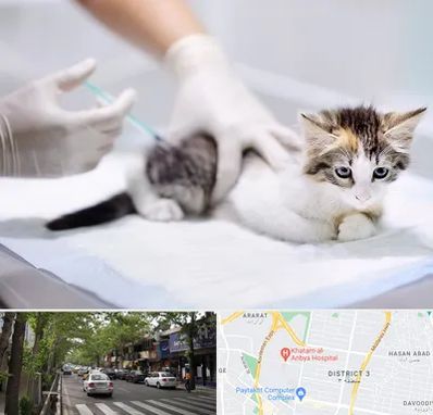 واکسیناسیون حیوانات در ظفر 