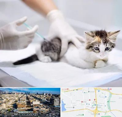 واکسیناسیون حیوانات در شهرک راه آهن