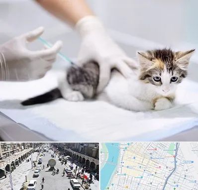 واکسیناسیون حیوانات در نادری اهواز