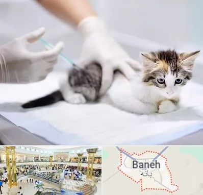 واکسیناسیون حیوانات در بانه