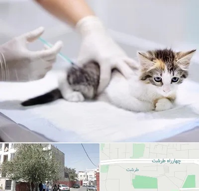 واکسیناسیون حیوانات در طرشت