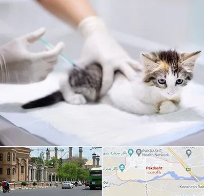 واکسیناسیون حیوانات در پاکدشت