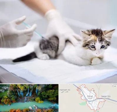 واکسیناسیون حیوانات در دورود