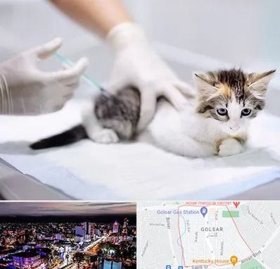 واکسیناسیون حیوانات در گلسار رشت 