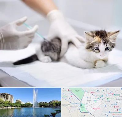 واکسیناسیون حیوانات در کوهسنگی مشهد