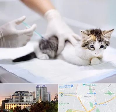 واکسیناسیون حیوانات در فرشته 